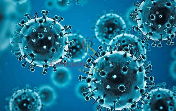 Update on Covid 19 - Death tolls