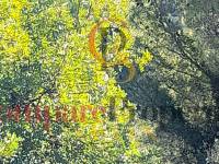 Verkauf - Plot - Orba Valley - 