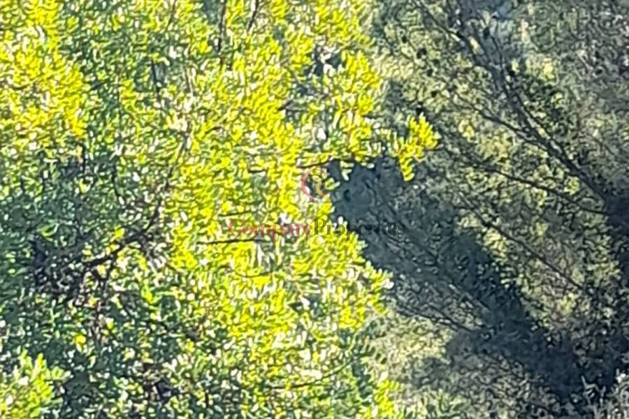 Verkauf - Plot - Orba Valley - 