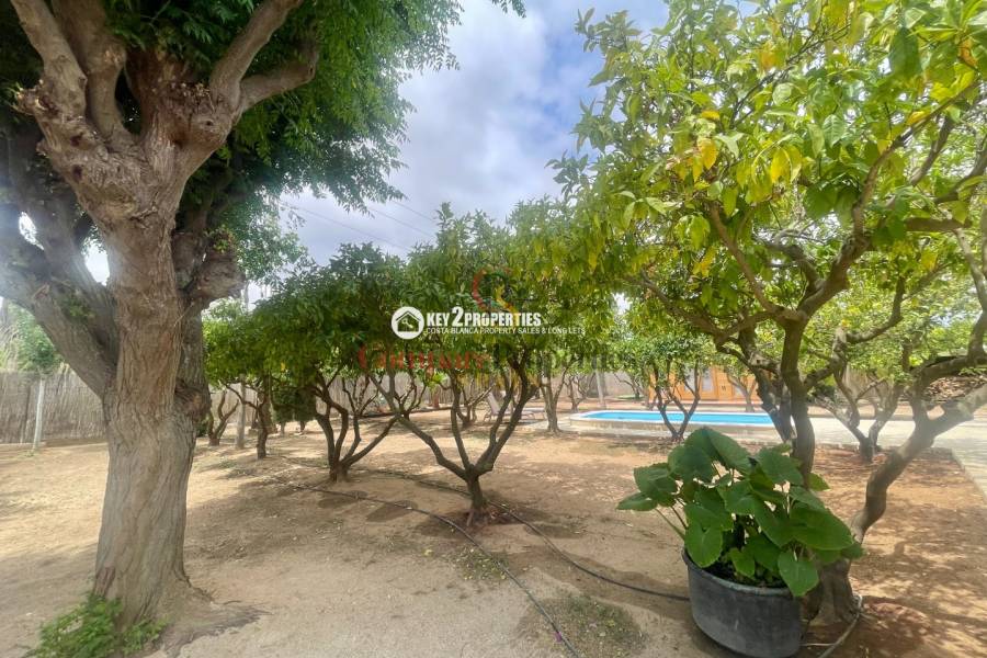 Venta - Villa - Pedreguer
