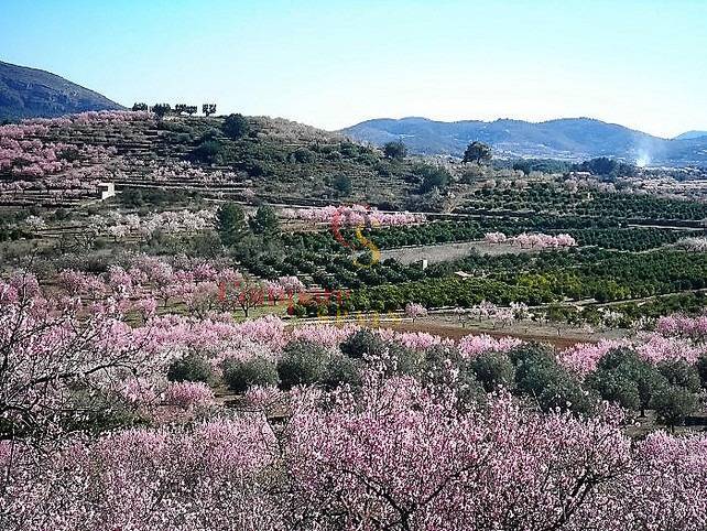 Verkauf - Villa - Jalon Valley - Alcalali