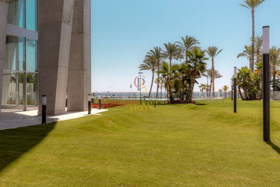 Nueva construcción  - Apartment - Benidorm - Playa Poniente