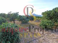 Verkauf - Villa - Ondara