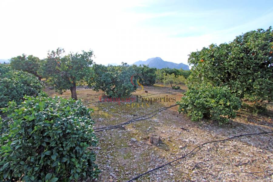 Verkauf - Villa - Ondara