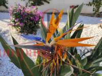 Vente - Apartment - Dénia