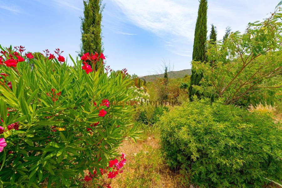 Sale - Villa - Jalon Valley - Comunidad valenciana