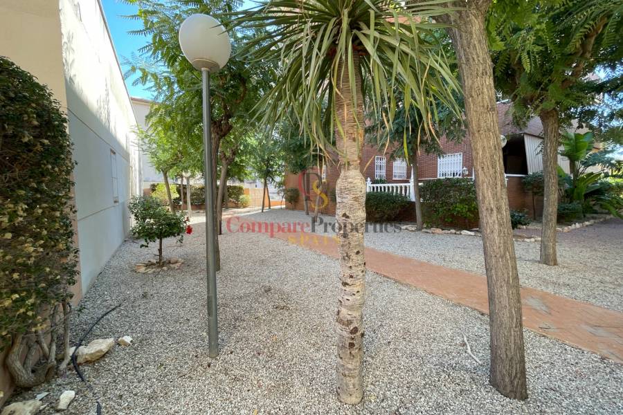 Vente - Townhouses - Elche - Center