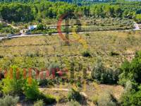 Venta - Plot - Jalon Valley - Murla