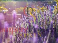 Verkoop - Apartment - Benissa - Costa blanca