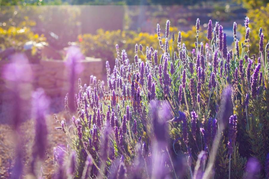 Verkoop - Apartment - Benissa - Costa blanca