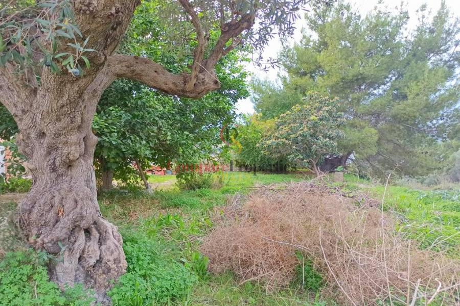 Verkoop - Townhouses - Teulada