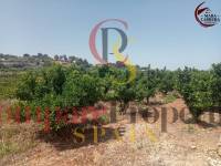 Sale - Apartment - La Font d'en Carròs - La Font d'en Carrós