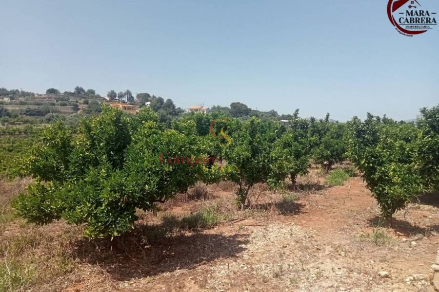Sale - Apartment - La Font d'en Carròs - La Font d'en Carrós
