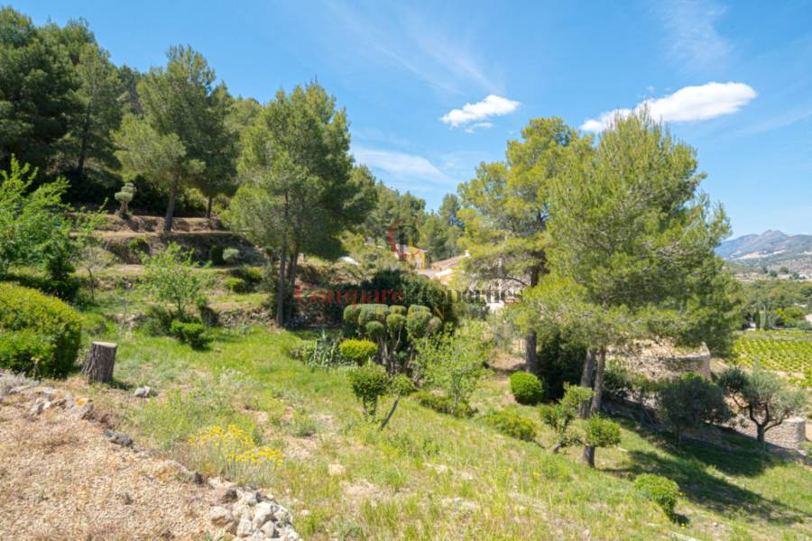 Vente - Villa - Jalon Valley - Campo