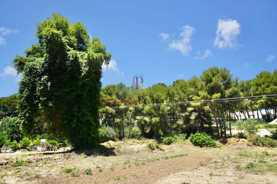 Sale - Plot - Moraira - La Cometa