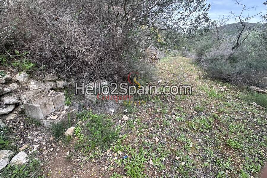 Sale - Villa - Lliber