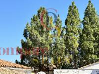 Venta - Townhouses - Salem - 