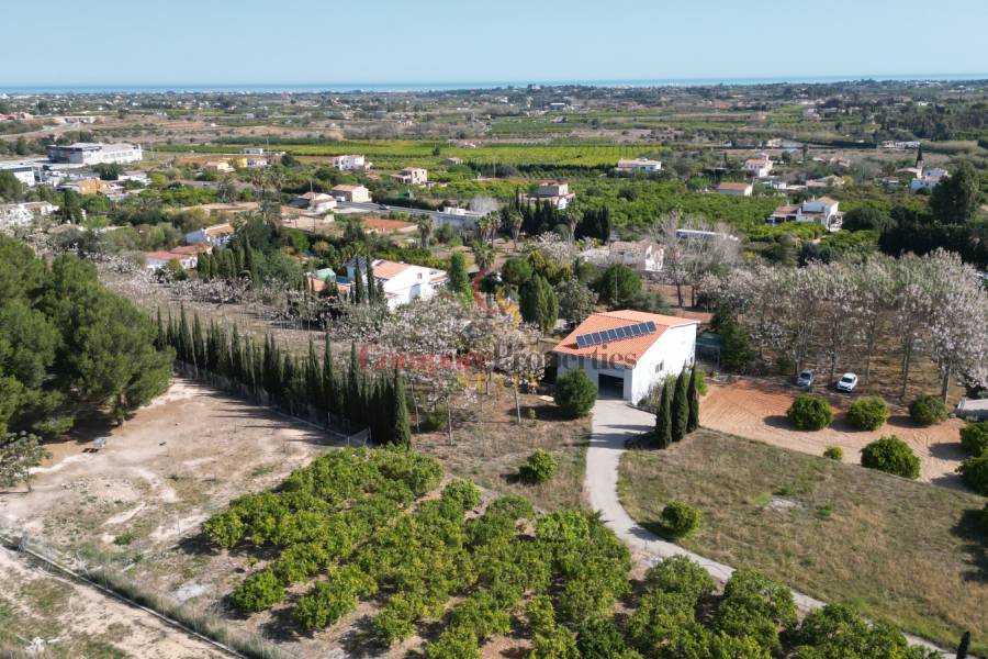 Venta - Villa - Pedreguer