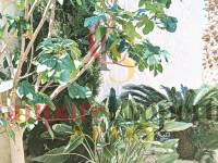 Venta - Villa - Dénia