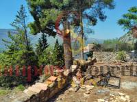 Venta - Villa - Jalon Valley - Alcalali