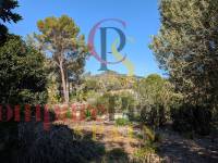 Venta - Plot - Benissa - Buenavista