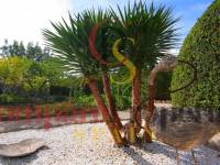 Venta -  - Jávea - Montgo - Valls