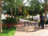 Sale - Townhouses - Palmera