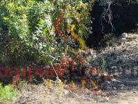 Verkauf - Plot - Orba Valley - 