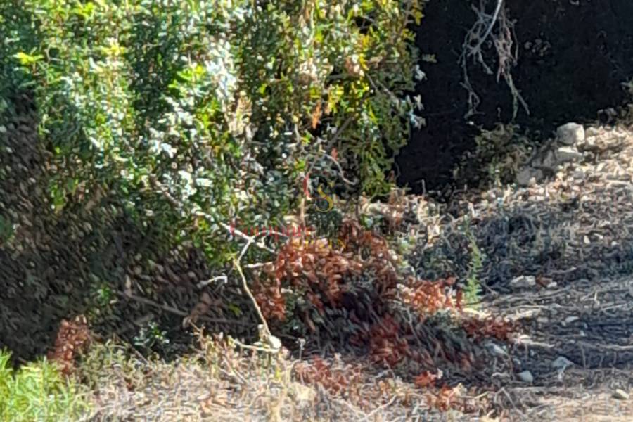 Verkauf - Plot - Orba Valley - 