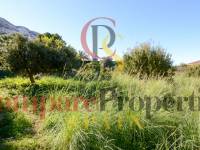 Sale -  - Dénia - Montgo