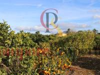 Verkauf - Villa - Ondara