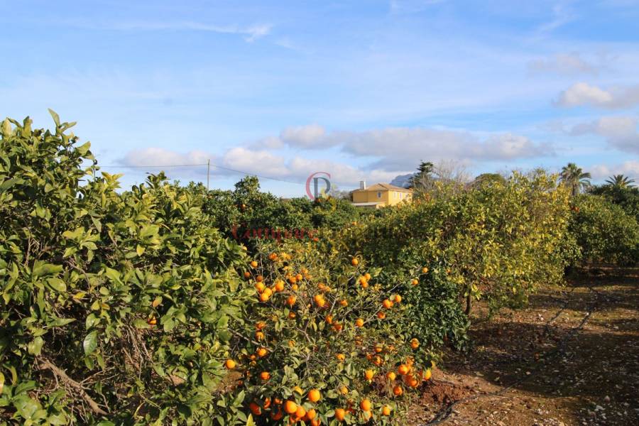 Verkauf - Villa - Ondara