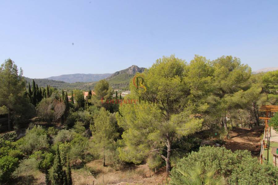 Verkoop - Villa - Orba Valley - Orba