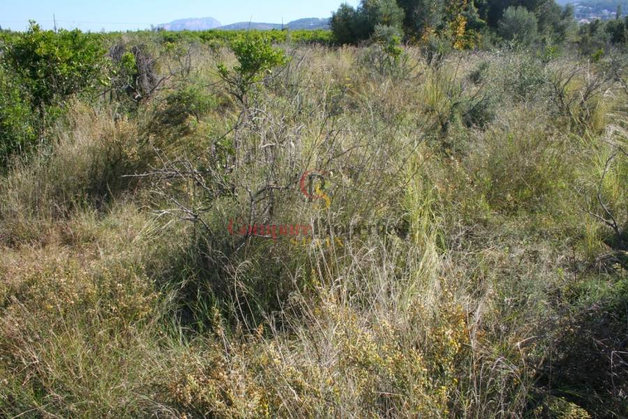 Verkauf - Plot - Orba Valley - 