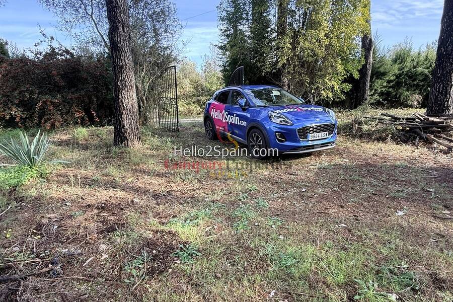 Sale - Villa - Villalonga