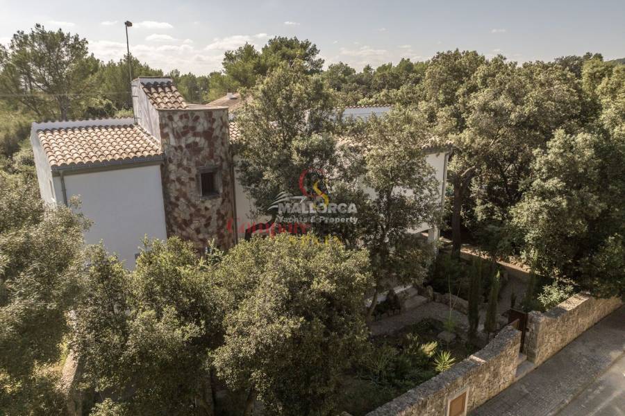 Vente - Apartment - Sa Pobla - Mallorca