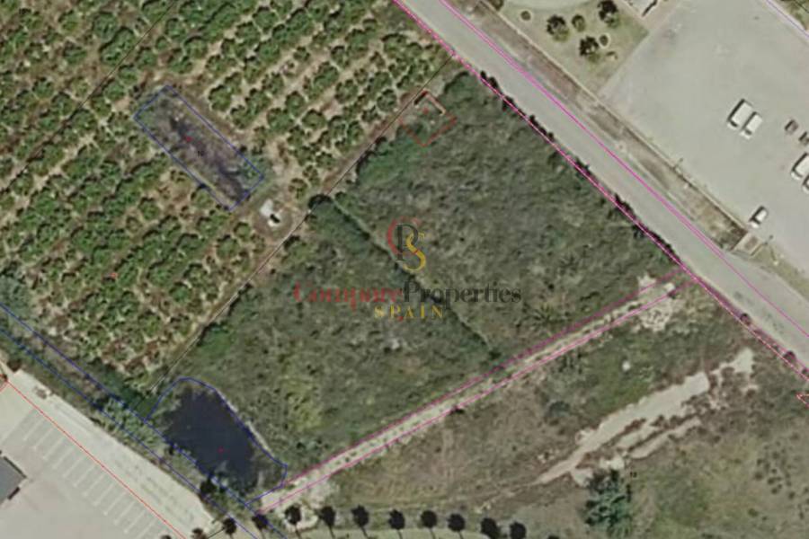 Sale - Apartment - Oliva - 
