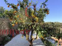 Venta - Villa - Monte Pego - 