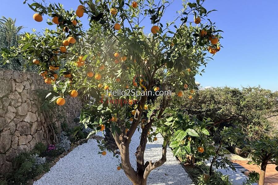 Venta - Villa - Monte Pego - 