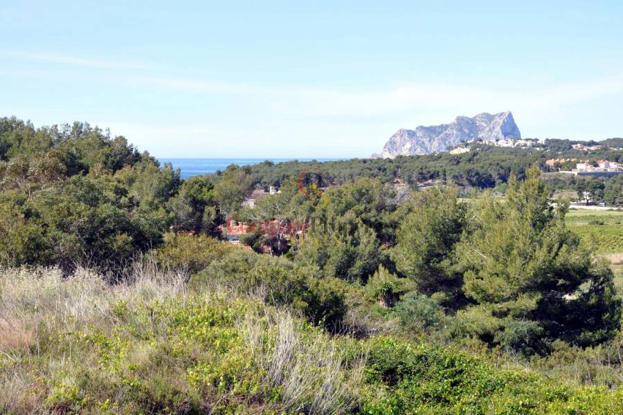 Vente - Villa - Moraira - Plá del Mar