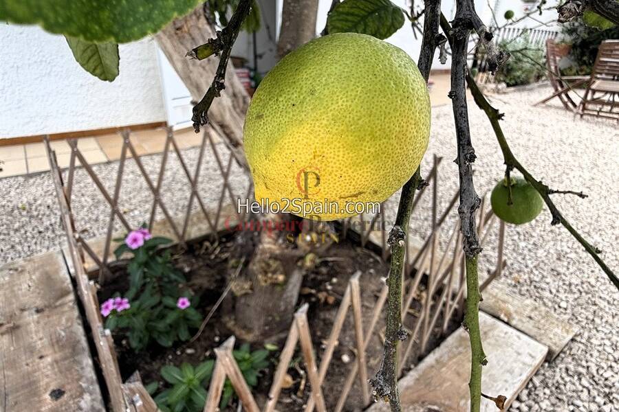 Sale - Villa - Dénia