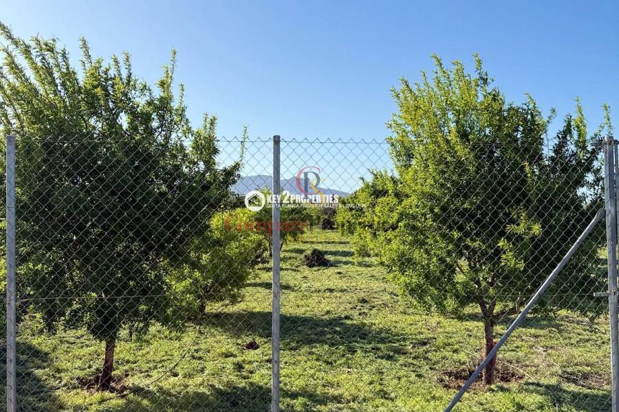 Verkauf - Plot - Dénia - Denia