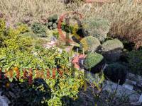 Sale - Villa - Benissa - Fanadix