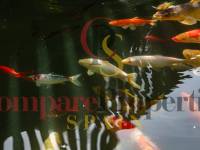 Verkauf - Villa - Jávea - Xàbia