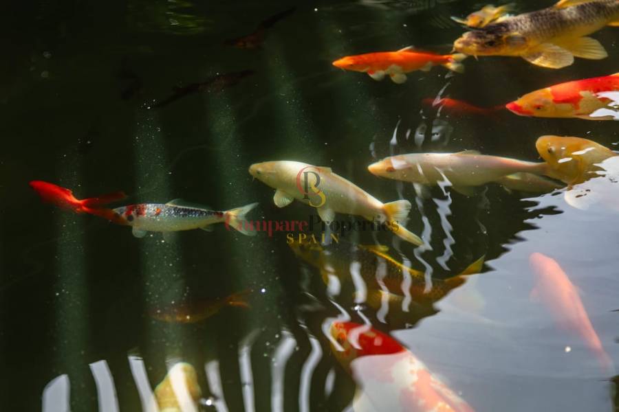 Verkauf - Villa - Jávea - Xàbia