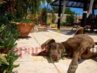 Verkoop - Apartment - Benissa - Costa blanca