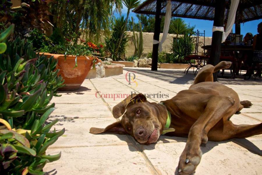 Verkoop - Apartment - Benissa - Costa blanca