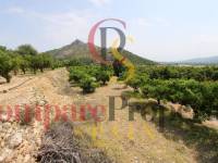 Verkoop - Villa - Monte Pego - El Ràfol d'Almúnia