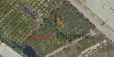 Apartment - Sale - Oliva - 