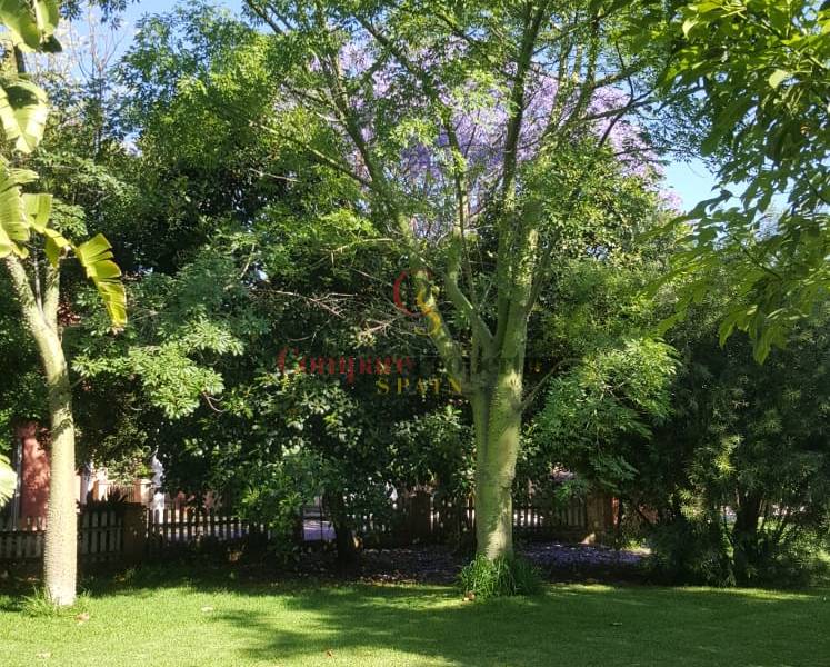 Venta - Villa - Ondara